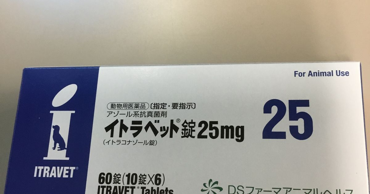 Cyniclomyces Guttulatus と イトラコナゾール 領下動物病院