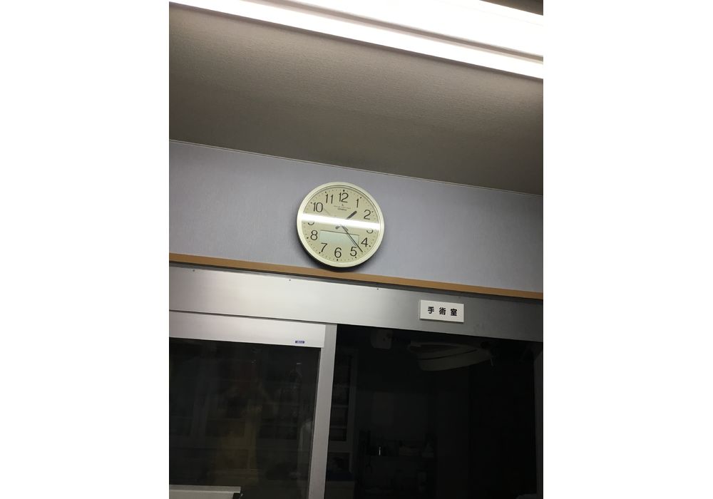 電波時計 / 岐阜市 動物病院