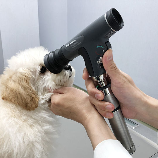 パンオプティック検眼鏡