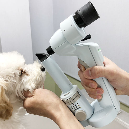 スリットランプ